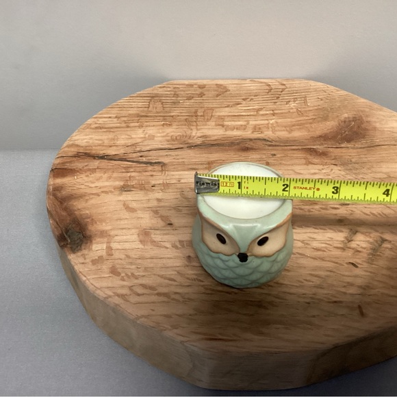 Owl Wood Wick Candle - Repurposed Planter - Gingerbread Vanilla Scent - Unique - Picture 9 of 10